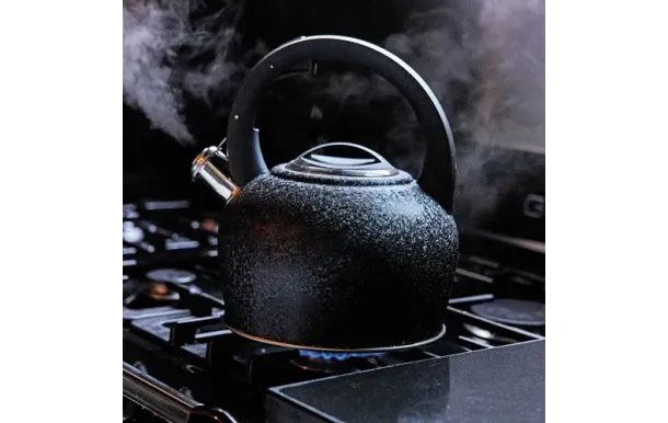 BAUMALU BOUILLOIRE I 342797